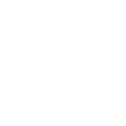 Logo true - Thorsten Reich Unternehmensentwicklung